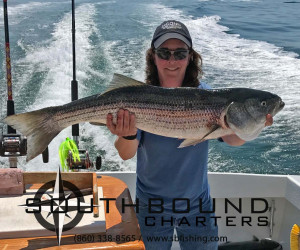 Striped bass fishing with Southbound Charters in CT
