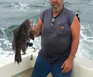 Sea Bass fishing aboard Southbound Charters out of Waterford CT